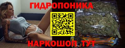 крисы Лесосибирск