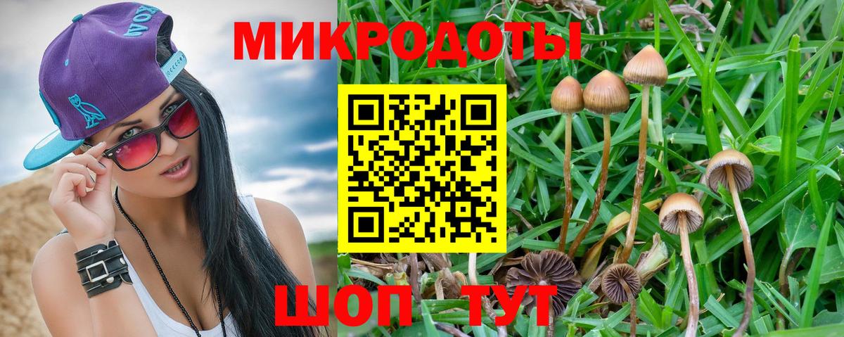 Галлюциногенные грибы мухоморы Камень-на-Оби