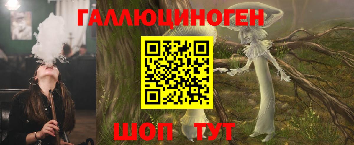 Галлюциногенные грибы GOLDEN TEACHER  наркотики  Камень-на-Оби  Вход с VPN 